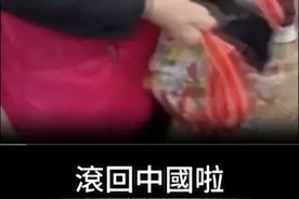 邱毅教授痛批：赖清德饲养大量青鸟，逮谁骂谁，台湾成了疯狂世界图片