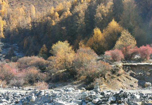 #阿坝头条#理小路，有人称之为川西的独库公路