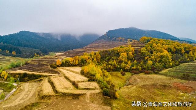 【秋日青海】假期邂逅乡趣卡阳，在云雾与秋色中共舞