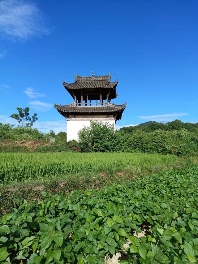 在徽州,寻一处安静的地方坐坐!