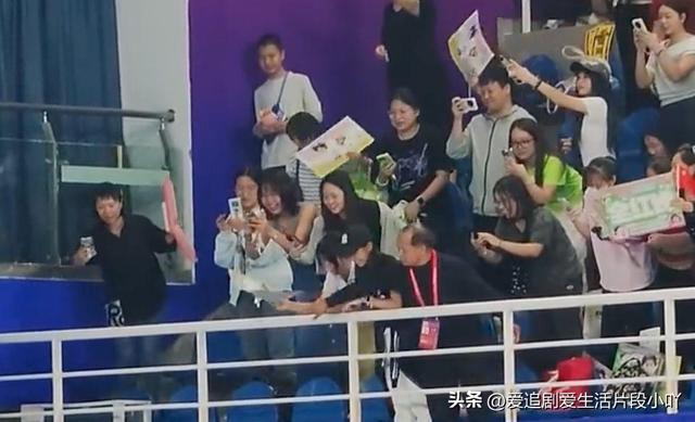 满满少女心全红婵被观众娃娃雨淹没：满场奔跑捡拾摄像师累坏了