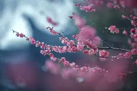 50-60岁老年人微信名字昵称，富贵大气网名昵称，快选一个吧！图片