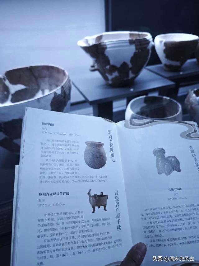 白砍鸡，趴窝鸡！