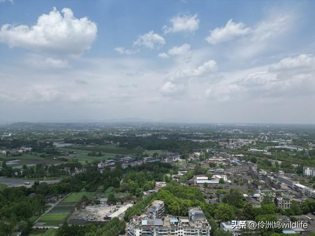 成都古镇（15）郫县唐昌古镇崇宁公园·大椿巷