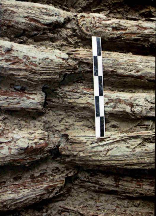 咸丰朝最硬“职场防崩指南”竟是圆明园修瓦的聋哑匠！