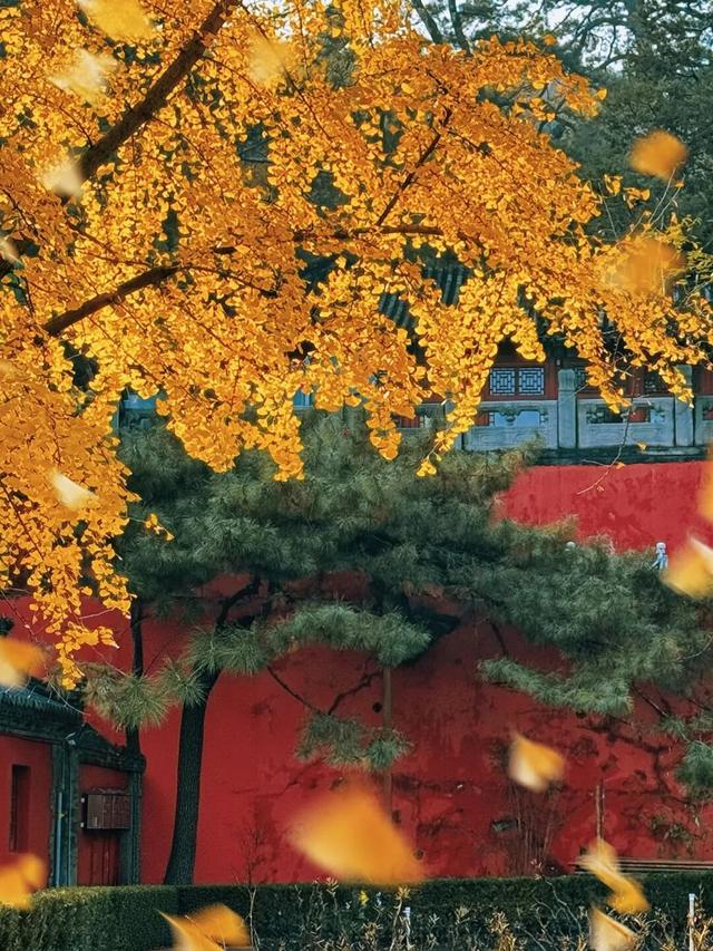 避开人从众！门头沟这里的秋，人少景美，一秒治愈！