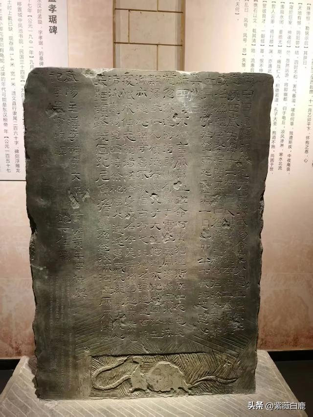 古物微光——云南博物馆记