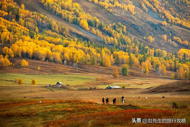 把秋天装进相册！这8个神仙目的地，让你拍出封神大片！