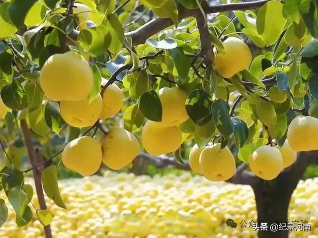 趁时光正好,莫负人生修行