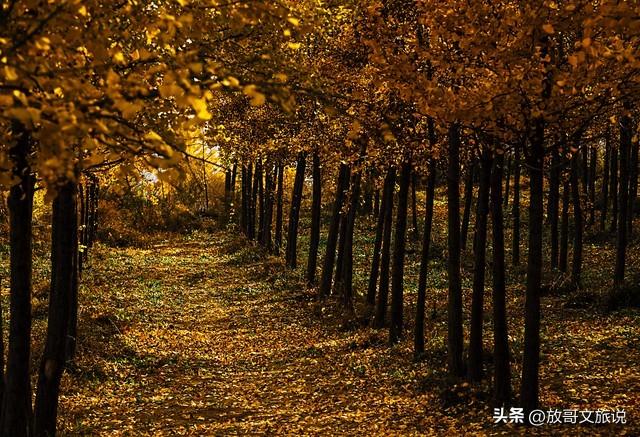 别只盯着武当山了！湖北这3个冷门景地，才是真正的胜境！