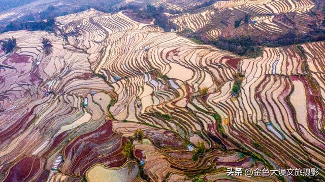 春日爆款!花季限定·2月8日/3月8日出发【花开滇境·七彩云南】8日