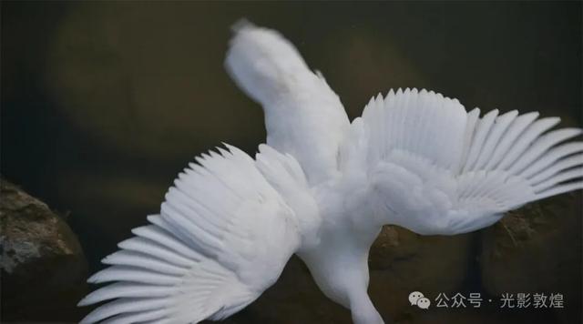 九月：敦煌飞天公园秋色浓