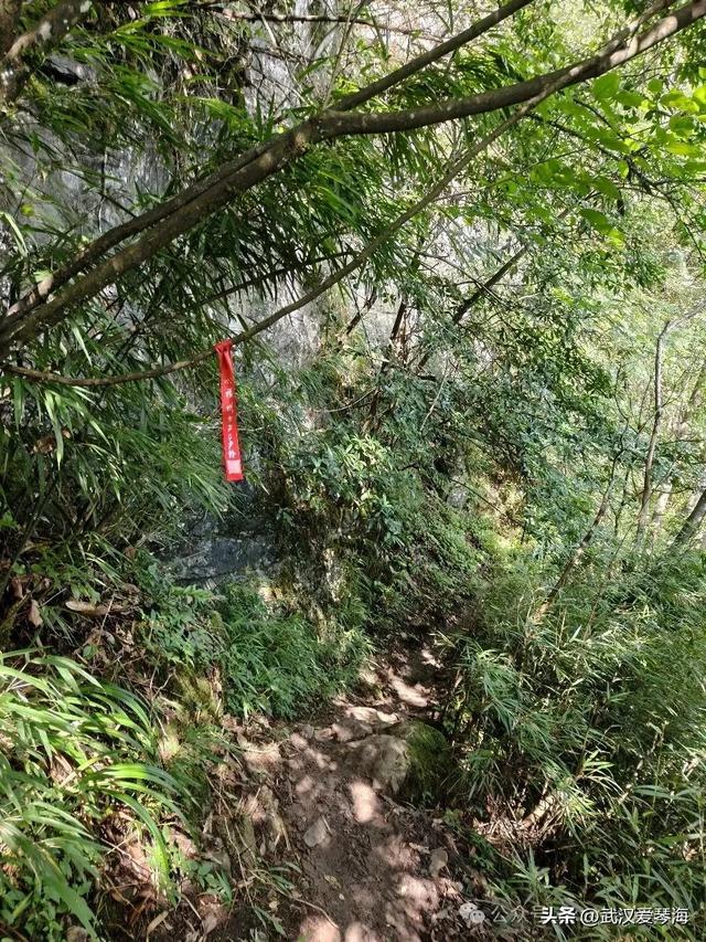 徒步利川朝东岩：华中绝壁的震撼与隐忧，环保徒步爱好者的见闻