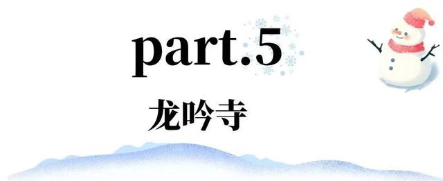 冬日竹海，限时特惠！淡季门票+超值年卡，承包一整年的美景