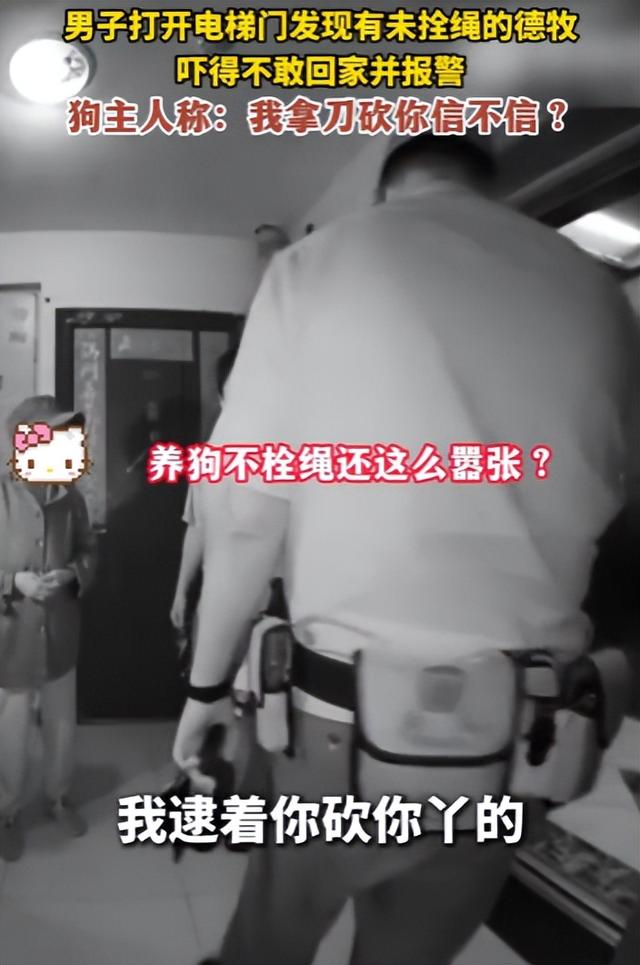 北京男子回家遇德牧拦路，报警反遭威胁，养狗大爷：拿刀砍你丫的
