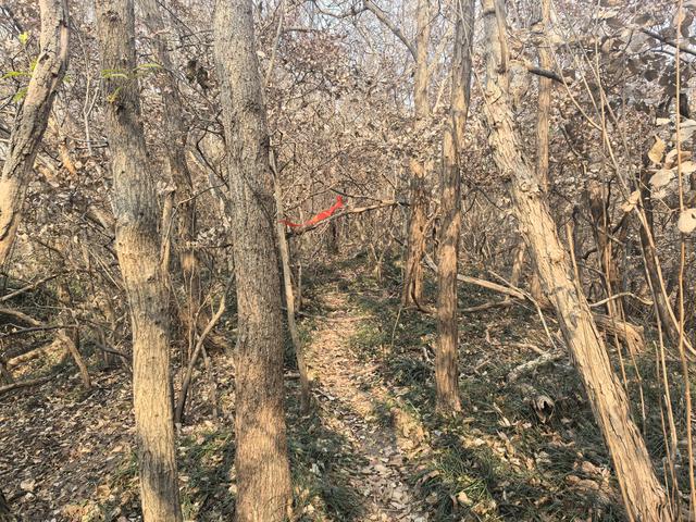 南京江宁大连山金陵四十八景之虎洞明曦，佘村丹霞山一日郊野徒步