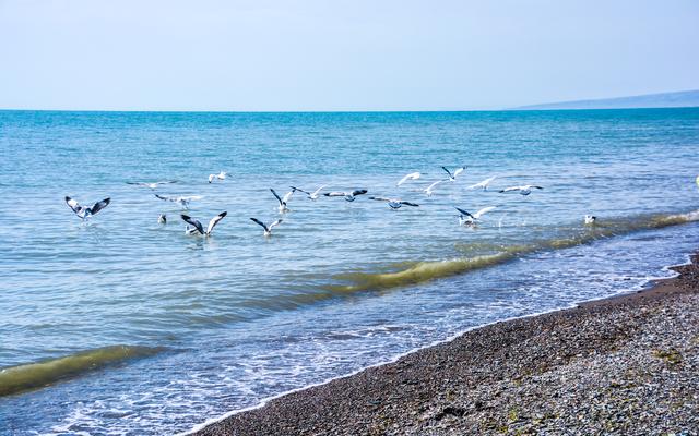 2025秋单骑摩旅青海记