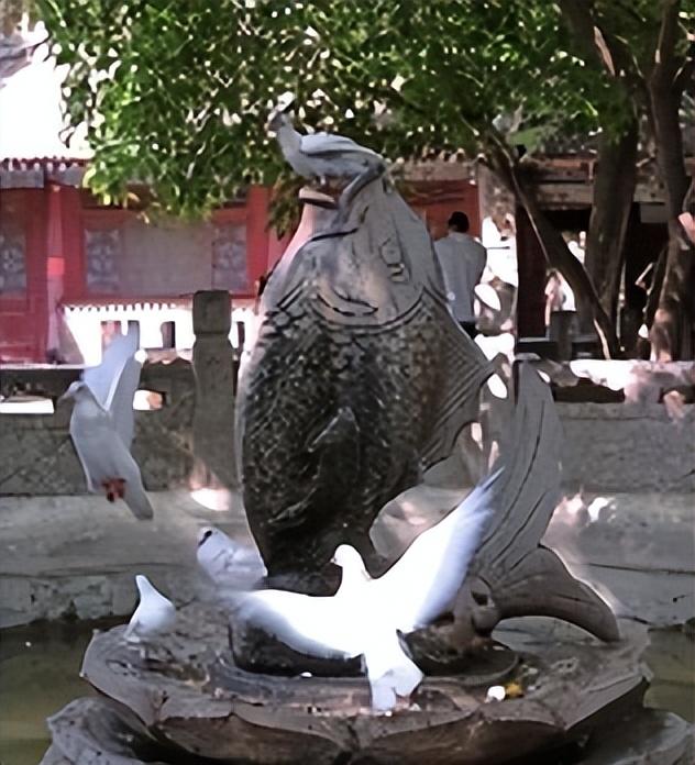 文化中国行 | 密宗祖庭大兴善寺