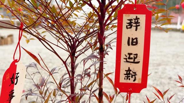 三场大戏+五大活动，宁强元旦狂欢倒计时！