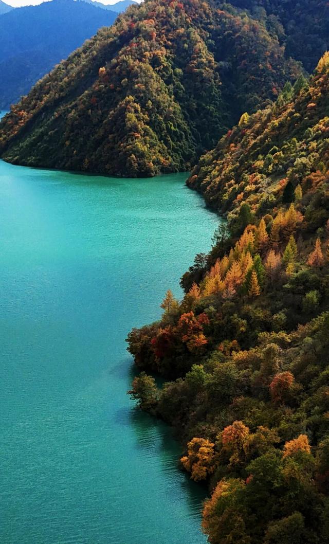 走不出这画了，我已被平武的彩林迷倒！