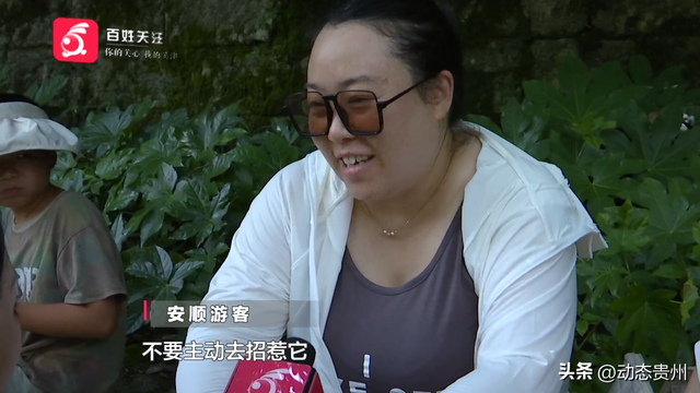 “你打猴我就打你”环卫工驱猴被游客怒斥，黔灵山公园工作人员