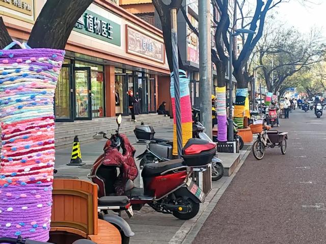 毛线织就小暖衣，石景山这里的树秒变萌系选手