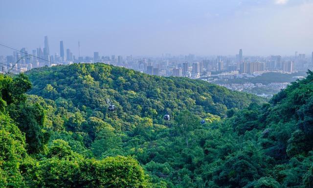 堪比5A却免费！重庆主城这处冷门秘境藏不住了