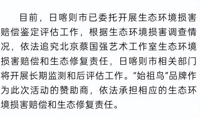 国家出手！央视发文，蔡国强烟花秀事件大结局，这几个人麻烦大了
