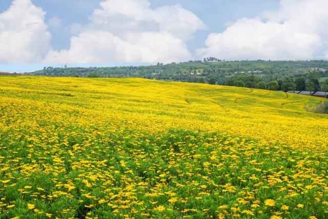 州庆，弥勒太平湖超多福利！红河人约起～