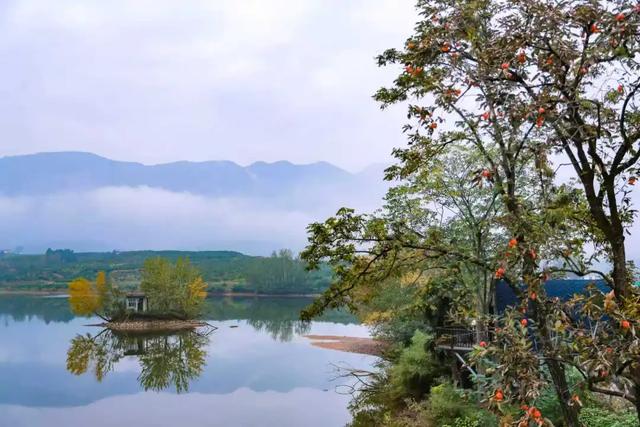橘乡暖冬,赴一场丰饶之约~