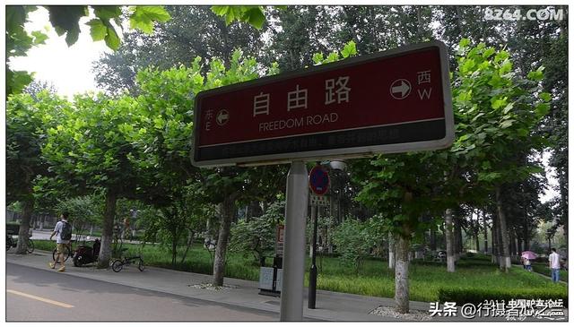 山东行游影记（17）—济南山东大学（四）