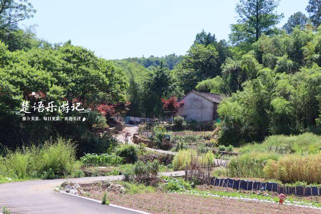 浙江绍兴发现一个森林公园，3条古道犹如绿野仙踪，成为徒步胜地