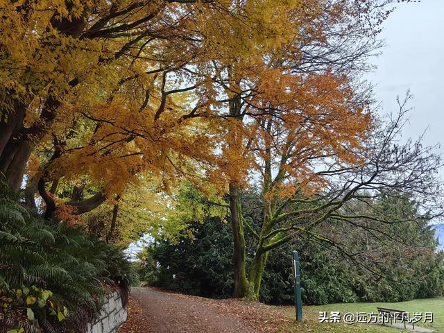 温哥华游记（五）