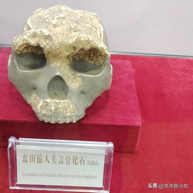 保姆级攻略！蓝田逛吃攻略 ，人少景美超好逛，这里还是吃货的天堂