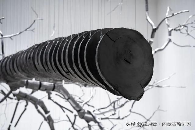 老公园逆袭+新地标登场，呼和浩特打卡地上新！