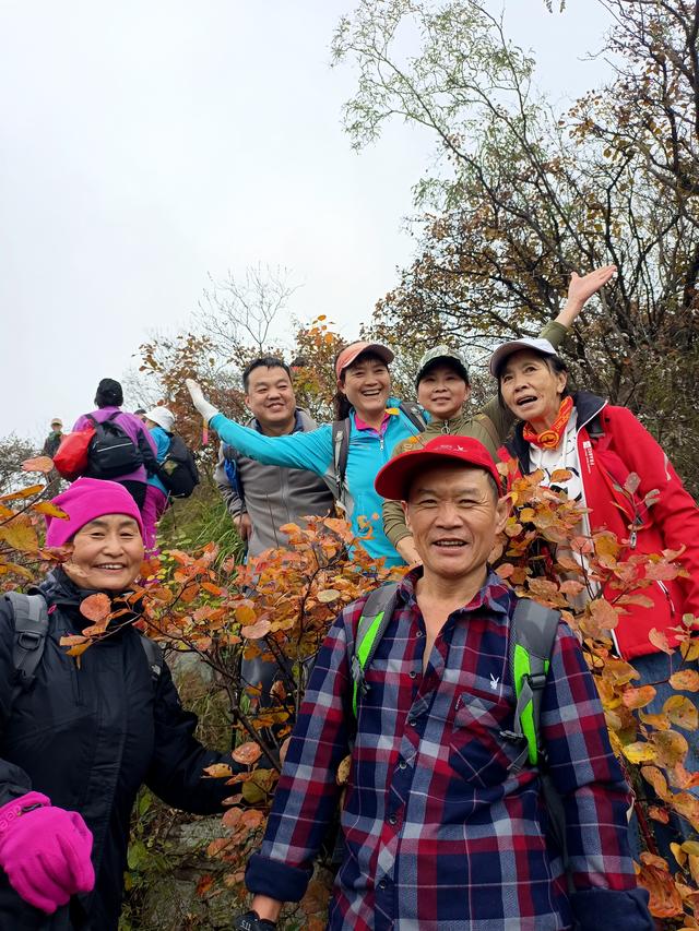 雾锁风挡山，红叶引客来
