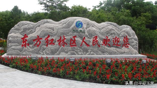 东方红，我拿什么来爱你（上） “东方红”名字的起源