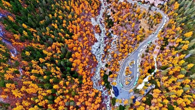 直接封神！你永远可以相信稻城亚丁的秋天