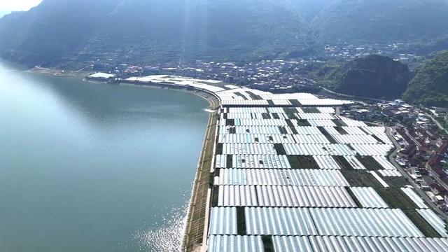 汉源有个月亮湾，月亮湾有个千亩葡萄观光采摘园