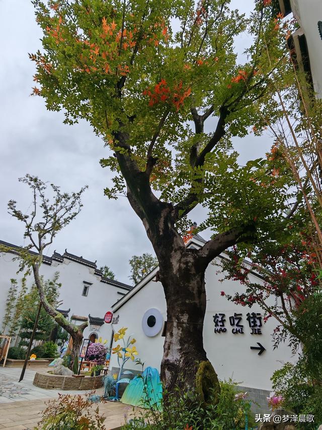 祥云湾竹木赋 ——癸卯秋日云梦纪行