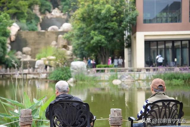 避暑+康养！10万游客的夏日天然“凉”方在这里——