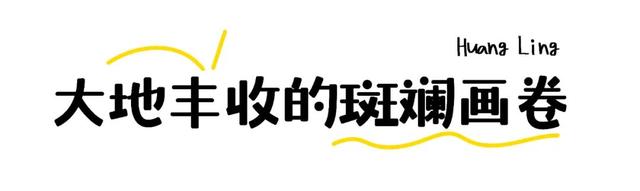 走！去篁岭吃一顿晒秋版“漂亮饭”
