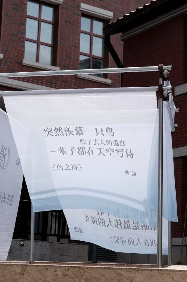 两大央媒齐聚焦！这里的周末，藏着逛不够的精彩！