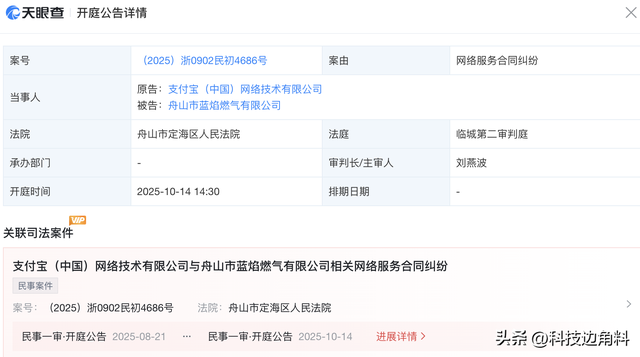 支付宝起诉舟山蓝焰燃气公司，案由服务合同纠纷