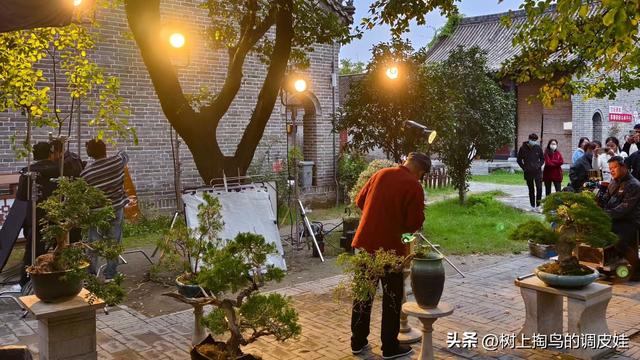 归德古城有了新变化 商汤微子两位祖宗变门神了