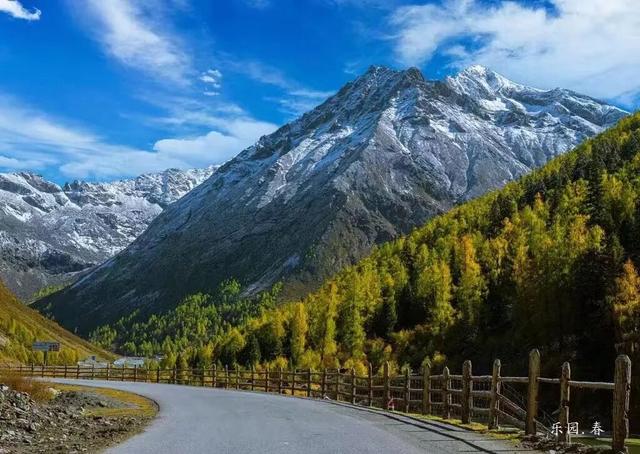 接下来，小金是这样的~