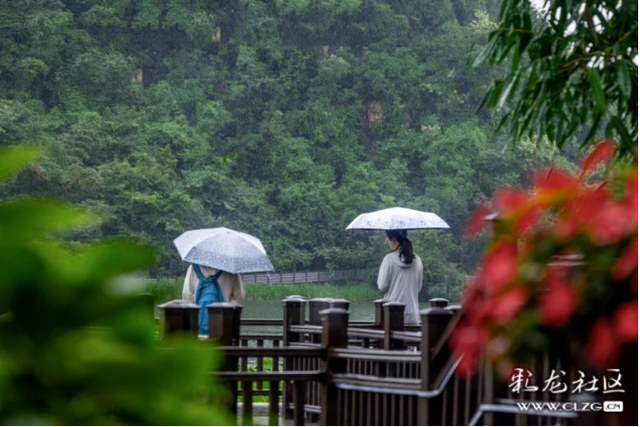 水墨丹青普者黑 荷风烟雨画中游