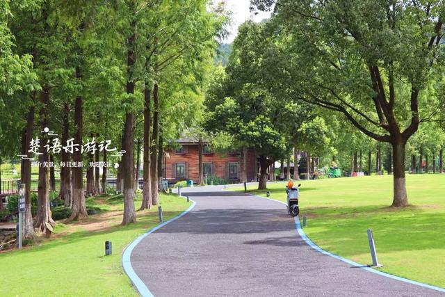 浙江宁波这片湿地少有人来，却是很美的赏荷胜地，周边美景也很多