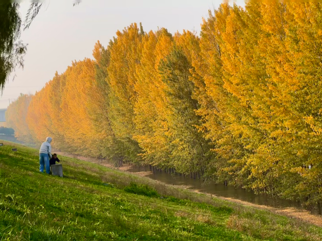 西安城区4个绝美秋景打卡地！