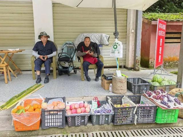 西岭雪山发生多起猴伤人事件，当地村民也饱受猴群困扰，景区回应：游客投喂是令我们头痛的一件事